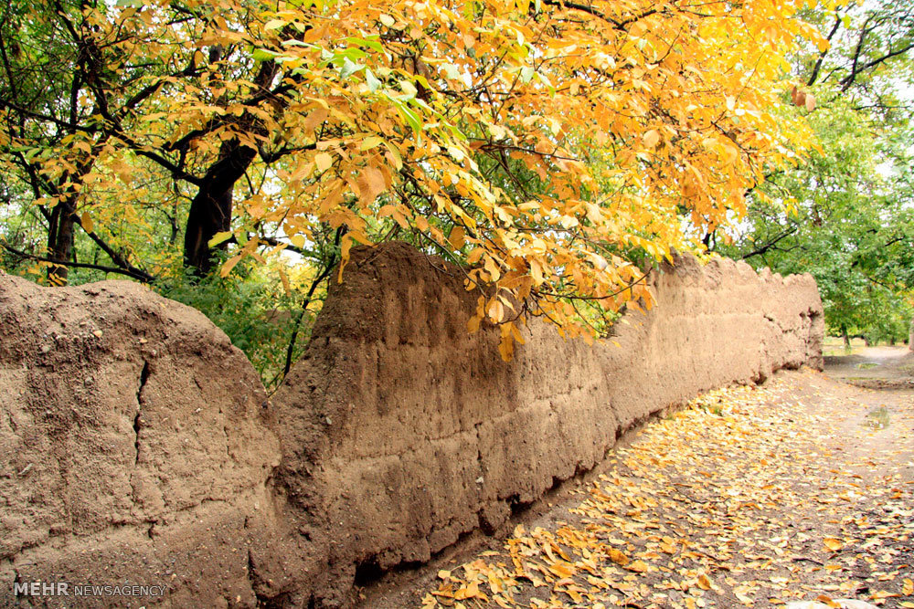 طبیعت پاییزی روستای کردان