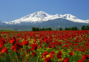 رونق گردشگری اردبیل از سبلان تا منطقه آزاد اروند