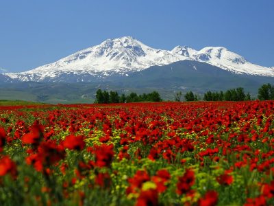 رونق گردشگری اردبیل از سبلان تا منطقه آزاد اروند